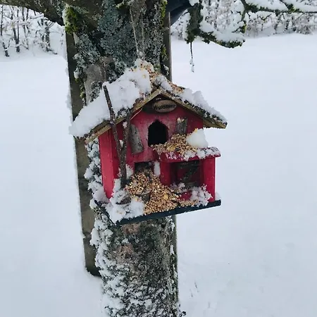 De La Mesange Rochesson