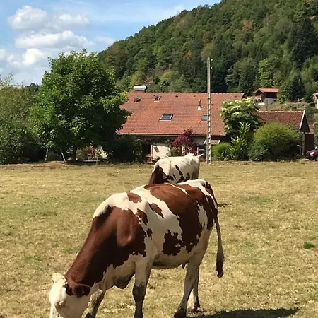 De La Mesange Rochesson