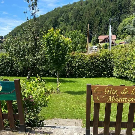 Dom wakacyjny De La Mesange