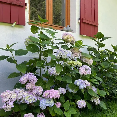 De La Mesange Semesterbostad Rochesson