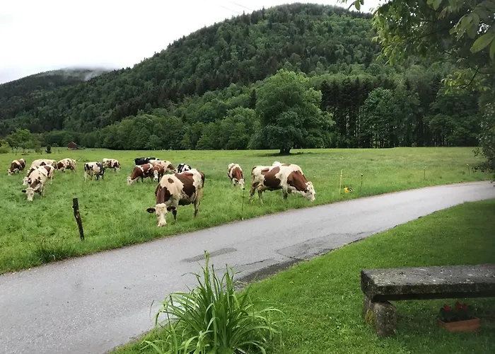 De La Mesange Casa de Férias Rochesson