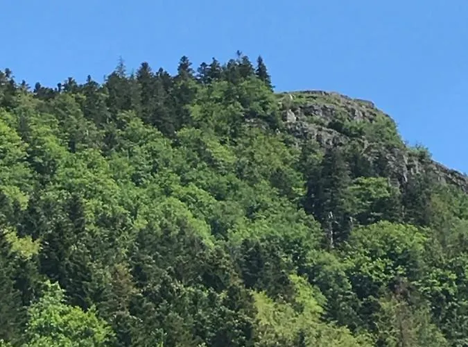 Casa de Férias De La Mesange