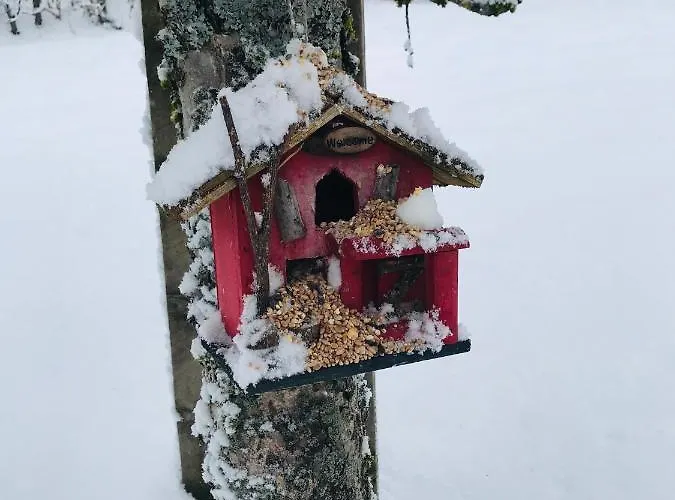 De La Mesange Rochesson