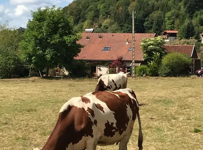 De La Mesange Rochesson