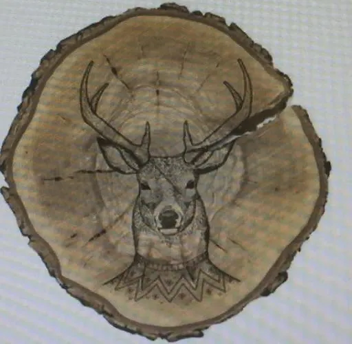 De La Mesange Rochesson