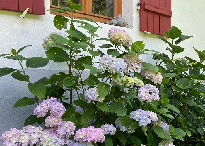 De La Mesange Casa de Férias Rochesson